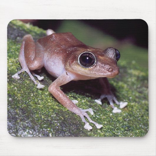 Tapis De Souris Guajon (Devant)