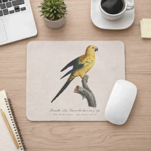 Tapis De Souris Guarouba dans fils jeune âge / Sun parakeet