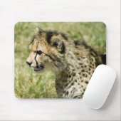 Tapis De Souris Guépard (Avec souris)