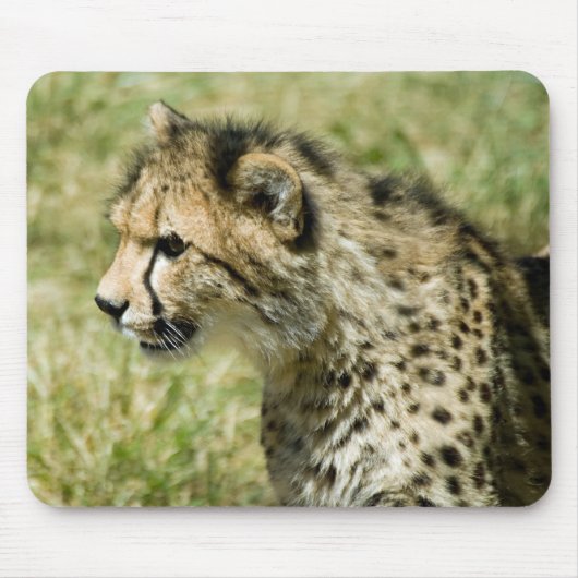 Tapis De Souris Guépard (Devant)