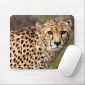 Tapis de souris guépard (Avec souris)