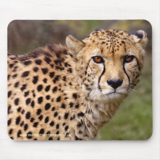 Tapis de souris guépard (Devant)