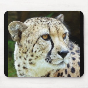 Tapis De Souris guépard