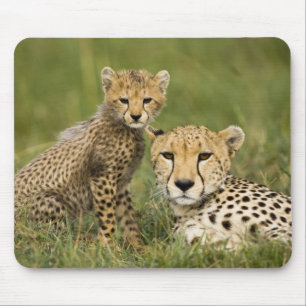 Tapis De Souris Guépard, Acinonyx jubatus, avec un petit