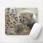 Tapis De Souris Guépard CUB avec la maman (Avec souris)