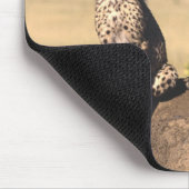 Tapis De Souris Guépard CUB Mousepad (Coin)