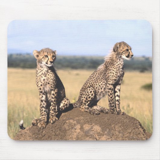 Tapis De Souris Guépard CUB Mousepad (Devant)
