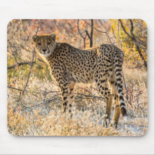 Tapis De Souris Guépard regardant autour