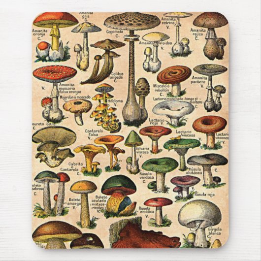 Tapis De Souris Guide vintage de champignon (Devant)