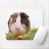 Tapis De Souris guinea pigs on a lawn (Avec souris)