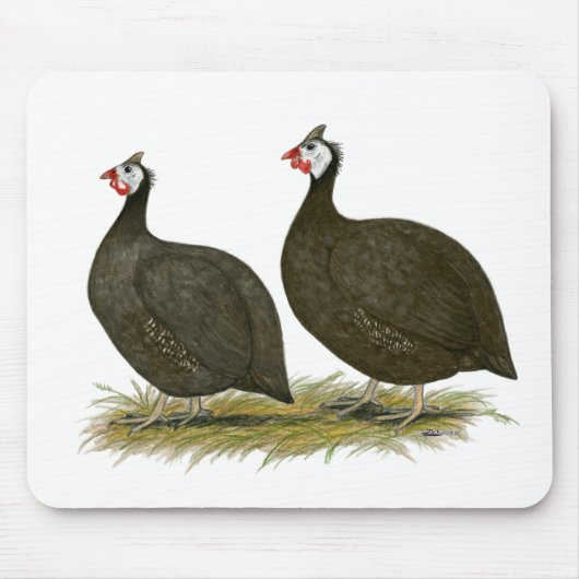 Tapis De Souris Guineas : Chocolat (Devant)