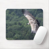 Tapis De Souris Gyps fulvus vol (Avec souris)