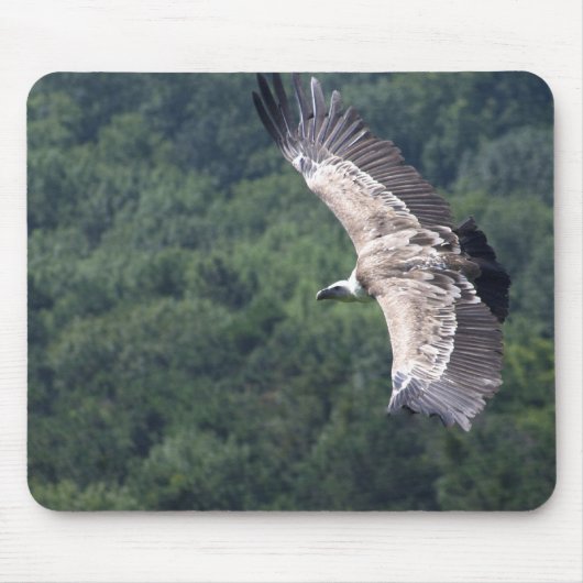 Tapis De Souris Gyps fulvus vol (Devant)