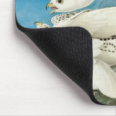 Tapis De Souris Gyrfalcons, alias Gerfalcons par John James Audubo (Coin)