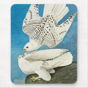 Tapis De Souris Gyrfalcons, alias Gerfalcons par John James Audubo