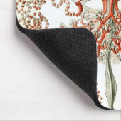 Tapis De Souris Haeckel (Coin)