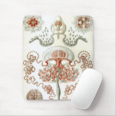 Tapis De Souris Haeckel (Avec souris)