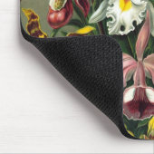 Tapis De Souris Haeckel (Coin)