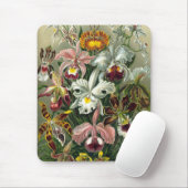 Tapis De Souris Haeckel (Avec souris)