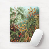 Tapis De Souris Haeckel (Avec souris)