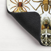 Tapis De Souris Haeckel (Coin)