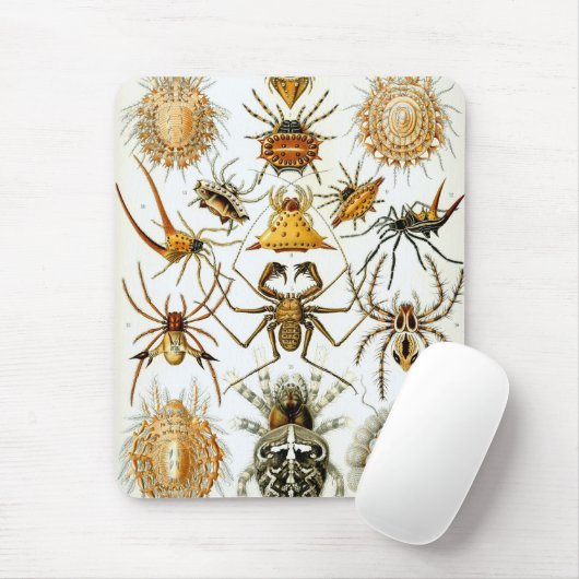 Tapis De Souris Haeckel (Avec souris)