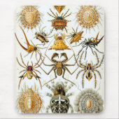 Tapis De Souris Haeckel (Devant)