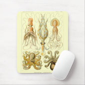 Tapis De Souris Haeckel (Avec souris)