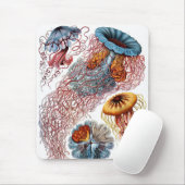 Tapis De Souris Haeckel (Avec souris)