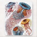 Tapis De Souris Haeckel<br><div class="desc">Haeckel mousepad.</div>