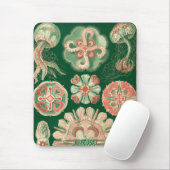 Tapis De Souris Haeckel (Avec souris)