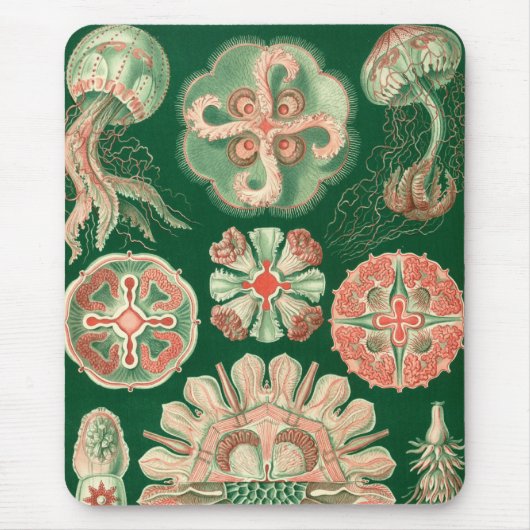 Tapis De Souris Haeckel (Devant)