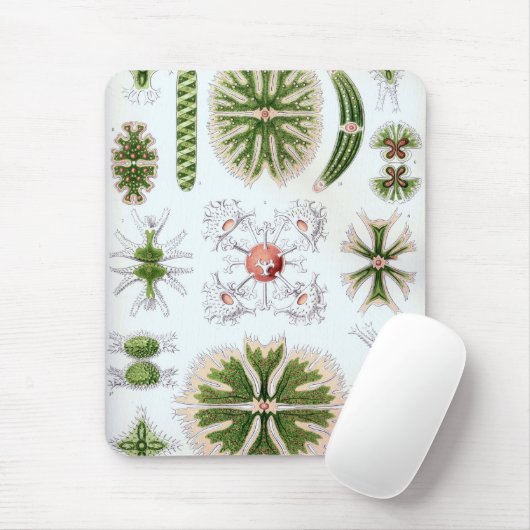 Tapis De Souris Haeckel (Avec souris)