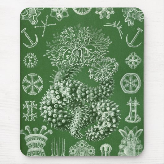 Tapis De Souris Haeckel (Devant)