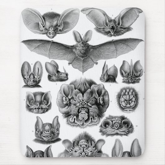 Tapis De Souris Haeckel Bats (Devant)