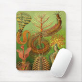 Tapis De Souris Haeckel Centipedes (Avec souris)