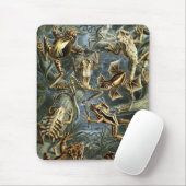 Tapis De Souris Haeckel Frogs (Avec souris)
