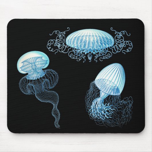 Tapis De Souris Haeckel Jellyfish (Devant)