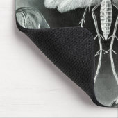 Tapis De Souris Haeckel Moths (Coin)