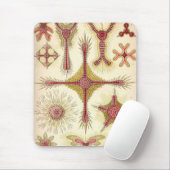 Tapis De Souris Haeckel vintage (Avec souris)