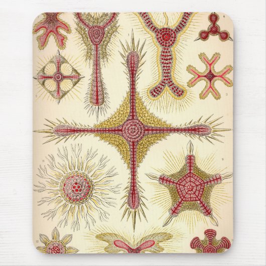 Tapis De Souris Haeckel vintage (Devant)