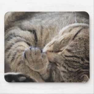 Tapis De Souris HAMbyWG - Plaque de souris - Cuddling Kitten