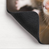Tapis De Souris Hamster (Coin)