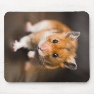 Tapis De Souris Hamster