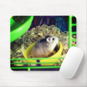 Tapis De Souris Hamster de Robo (Avec souris)