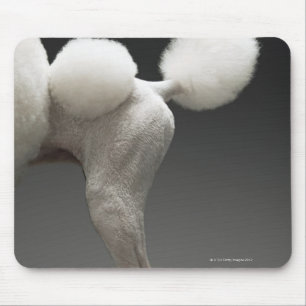 Tapis De Souris Hanches de caniche, sur l'arrière - plan gris