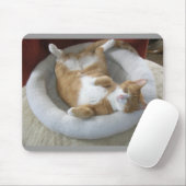 Tapis De Souris Happy Cat (Avec souris)