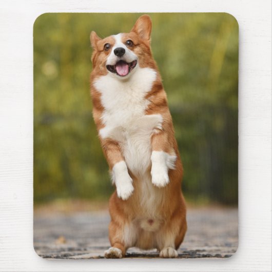 Tapis De Souris Happy Corgi Puppy Standing Photo (Devant)