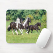 Tapis De Souris Harde de Chevaux Pinto Barock avec mignonette Foal (Avec souris)