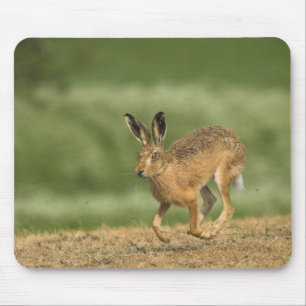 Tapis De Souris Hare Mousepad